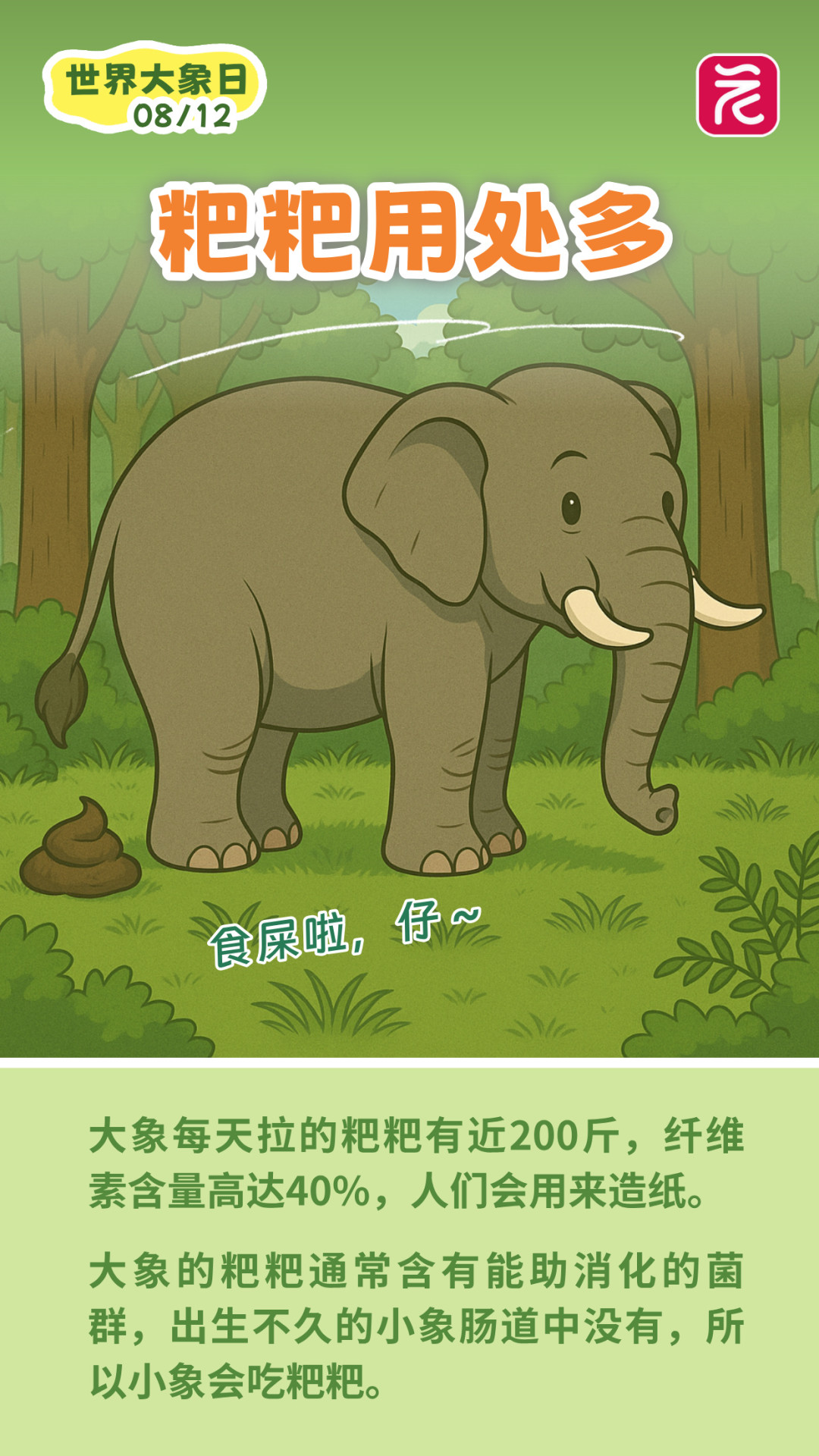 世界大象日__2025-08-12+09_23_03
