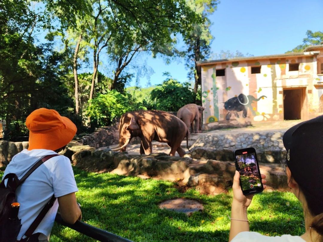 53519543e98a021be958385209961139.jpg 53519543e98a021be958385209961139.jpg