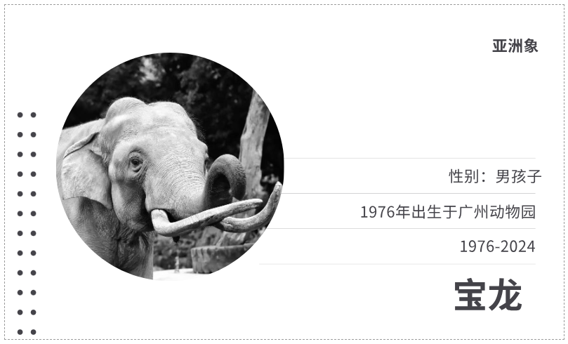 96d56f15349268437b390c1ee94ad27.png 96d56f15349268437b390c1ee94ad27.png