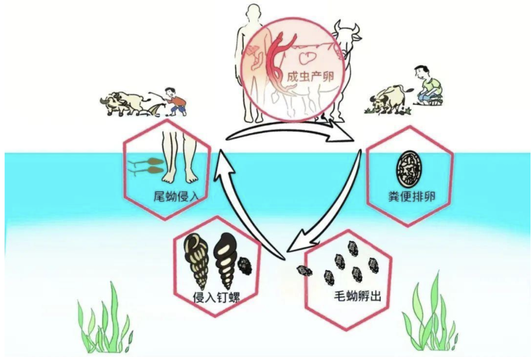 截屏2025-08-12 19.06.10