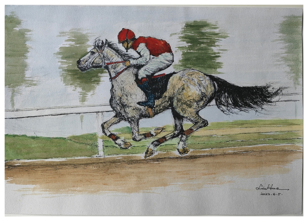 6刘华(赛马)钢笔淡彩 (2).jpg 6刘华(赛马)钢笔淡彩 (2).jpg