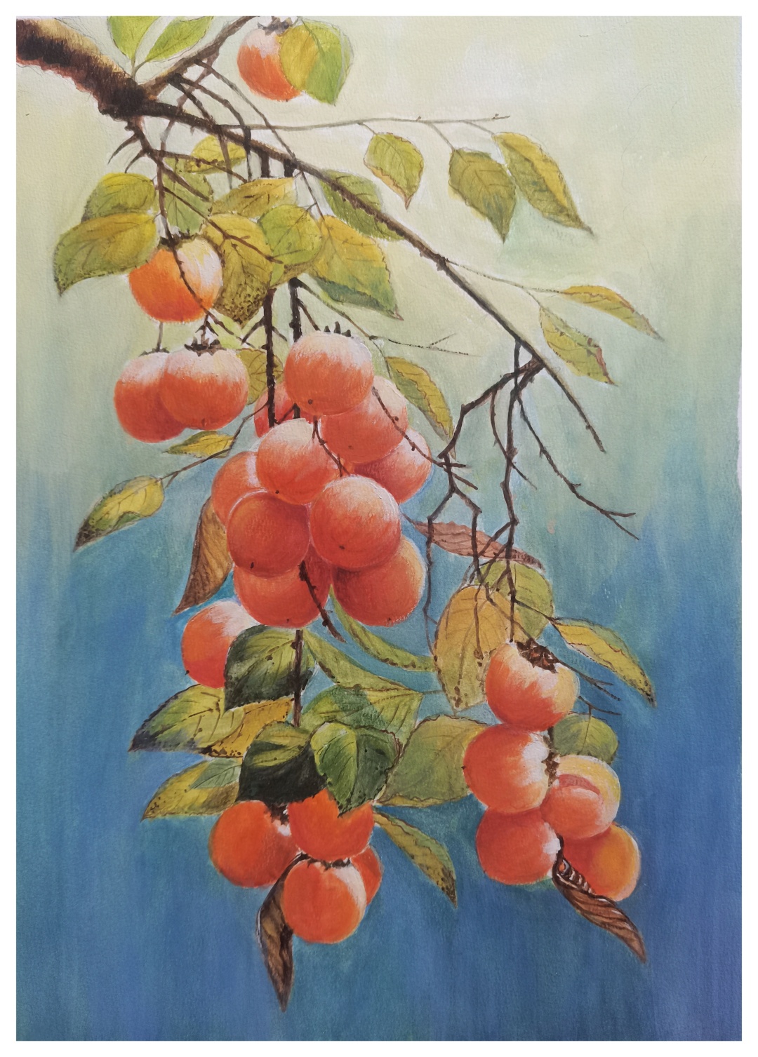 13刘军(杮杮如意)水粉.jpg 13刘军(杮杮如意)水粉.jpg