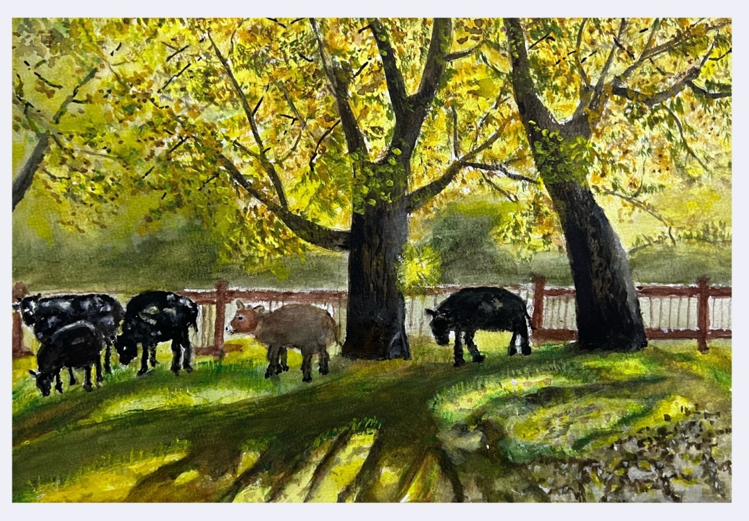 15张晓仁(牧场晨光)水彩.jpg 15张晓仁(牧场晨光)水彩.jpg