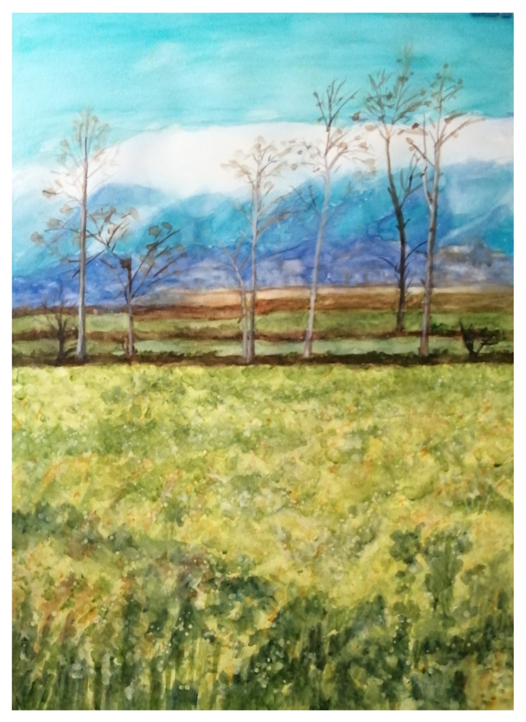 19区詠娟(油菜花飘香)水粉.jpg 19区詠娟(油菜花飘香)水粉.jpg