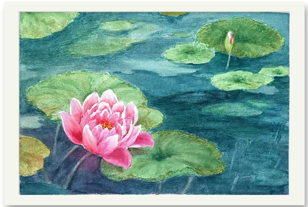 27唐本珍(荷花)水彩.jpg 27唐本珍(荷花)水彩.jpg