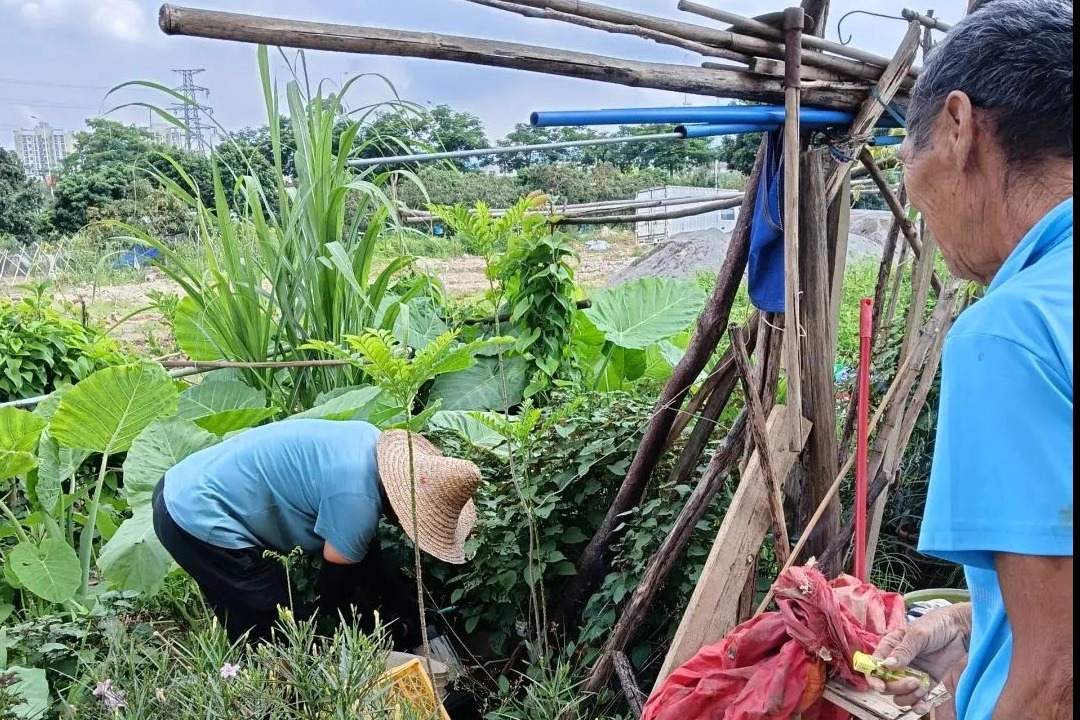 1754969846500059687.jpeg 1754969846500059687.jpeg