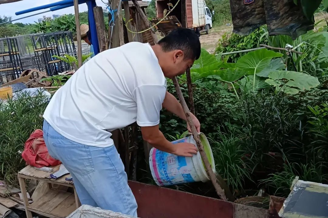 1754969846071074448.jpeg 1754969846071074448.jpeg