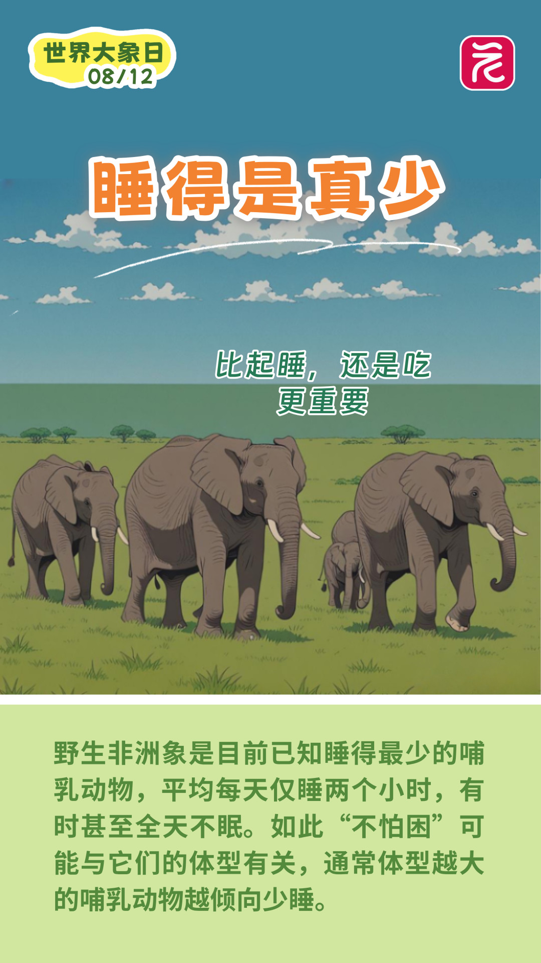 世界大象日__2025-08-12+00_51_06