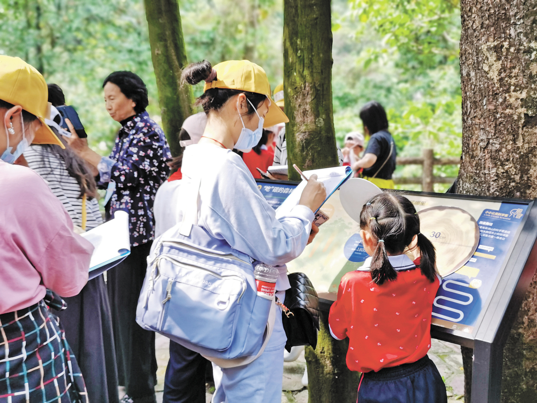 刘幸-鼎湖山第一批图片(分离图)新小自然教育径-NEP1_20250810_C02814238393.jpg 刘幸-鼎湖山第一批图片(分离图)新小自然教育径-NEP1_20250810_C02814238393.jpg