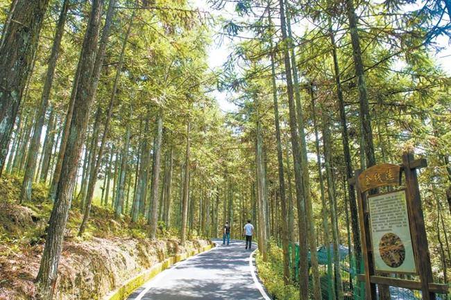 福建周宁县黄振芳家庭林场。（图源：央视新闻）