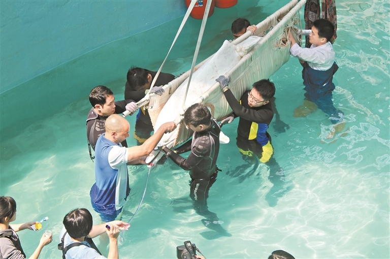 14244299_zhanghl_1755088304174_s