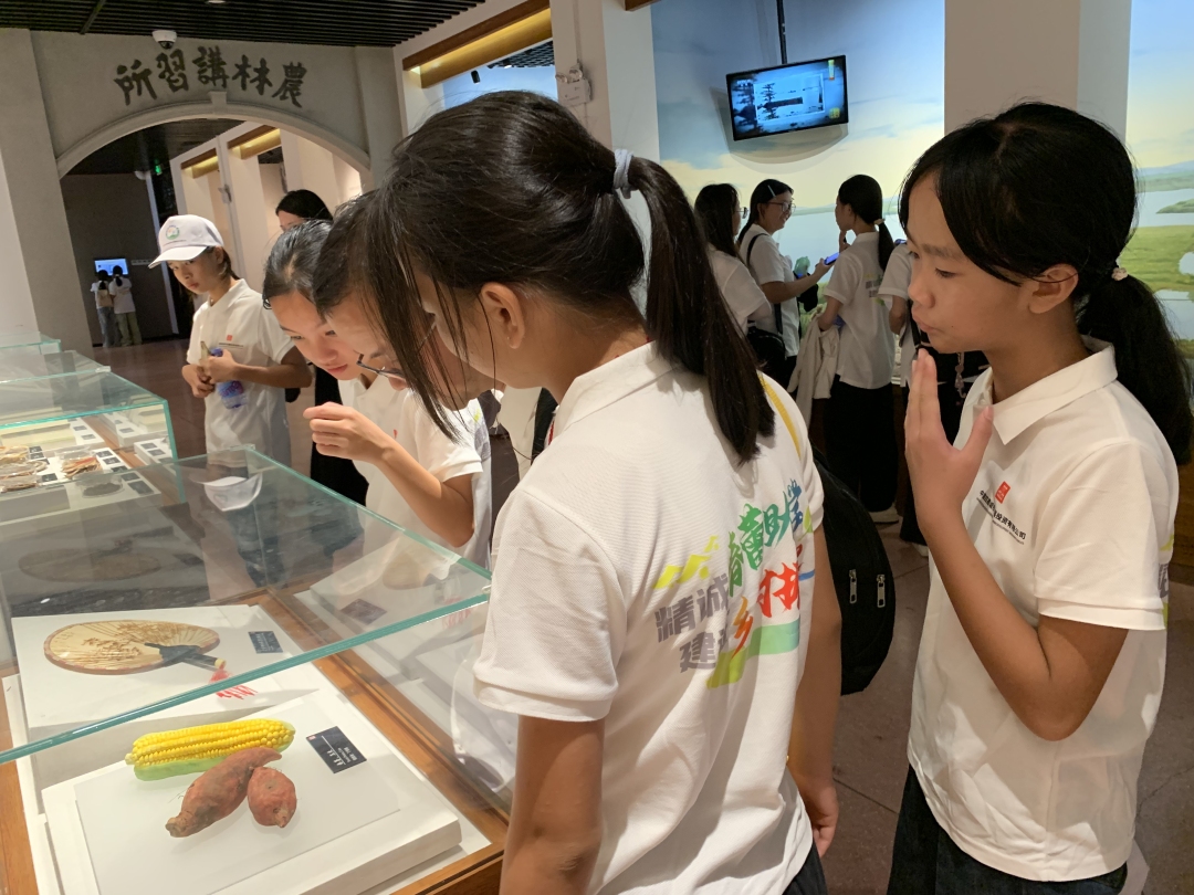 学子观看植物标本