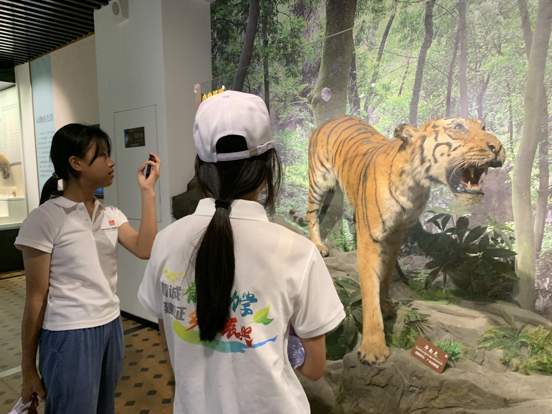 学子们在华南农业大学参观华南虎标本