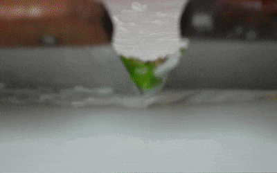 undefined 640 (1).gif