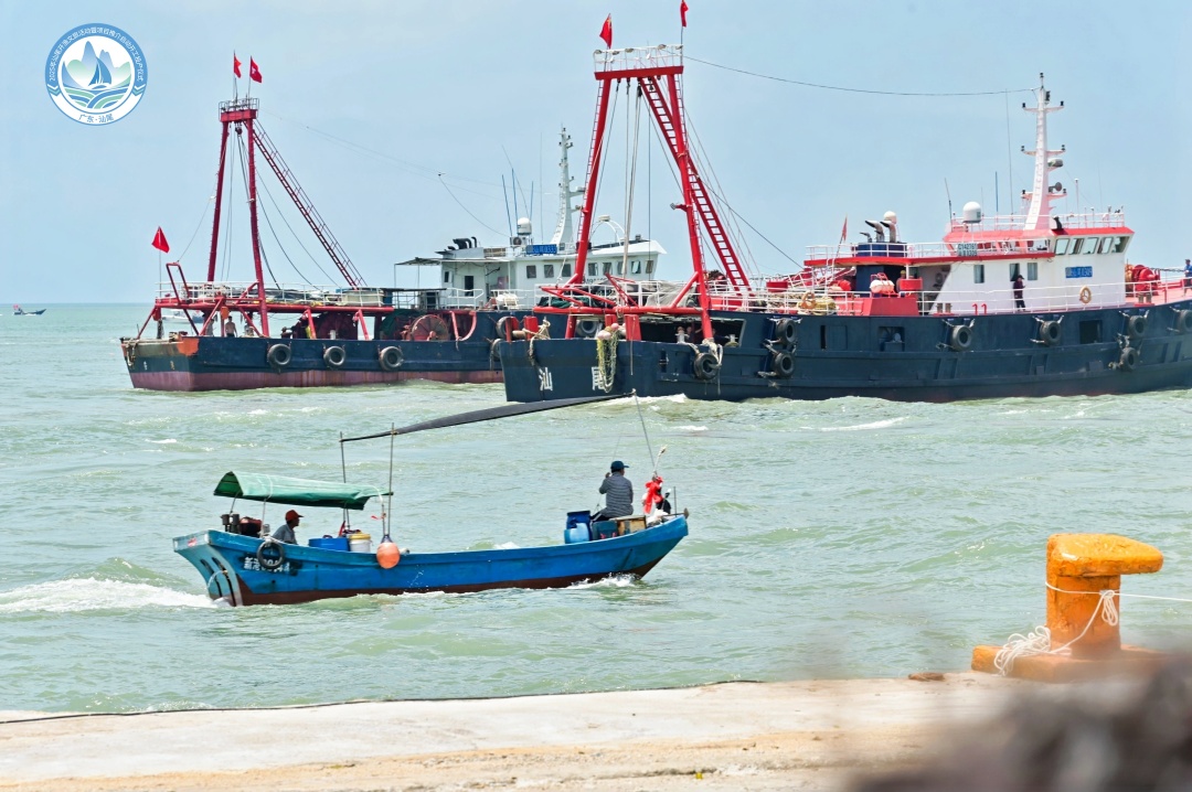 NZZ_0581-opq3909223476.jpg NZZ_0581-opq3909223476.jpg