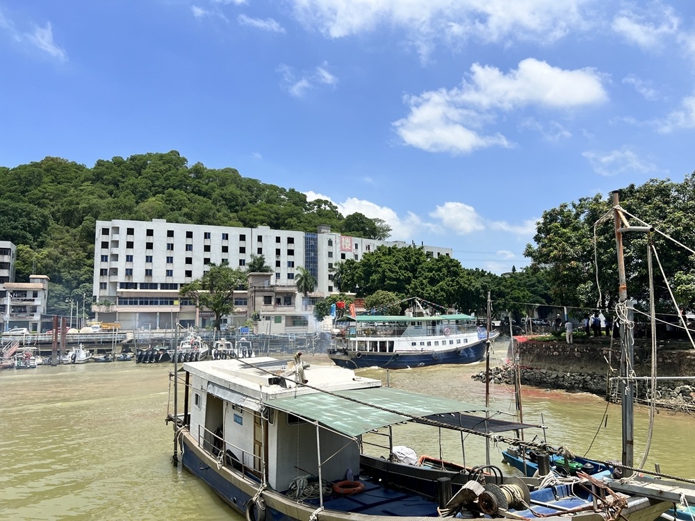 视频|中山横门今日开渔!