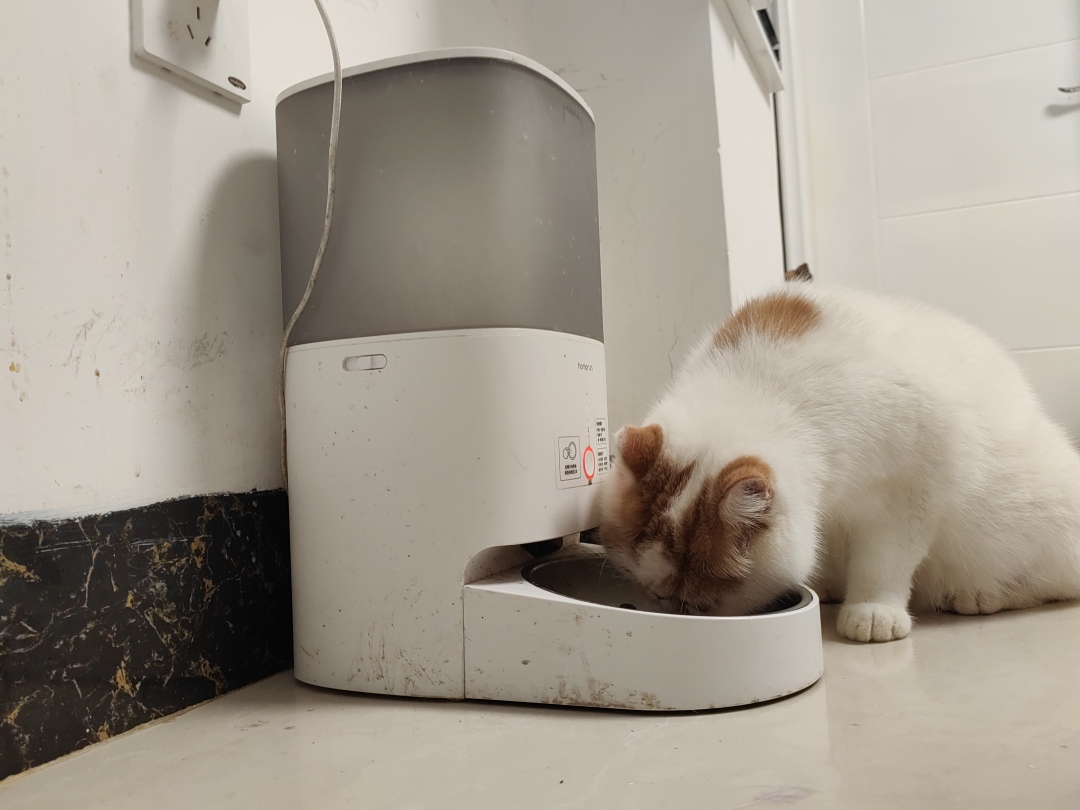 微信图片_20250818155729_6