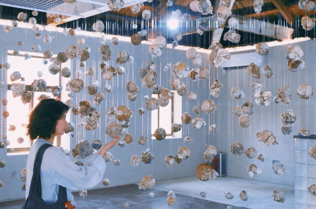 e29e8015400c335f239415b7704dd54c.jpg e29e8015400c335f239415b7704dd54c.jpg