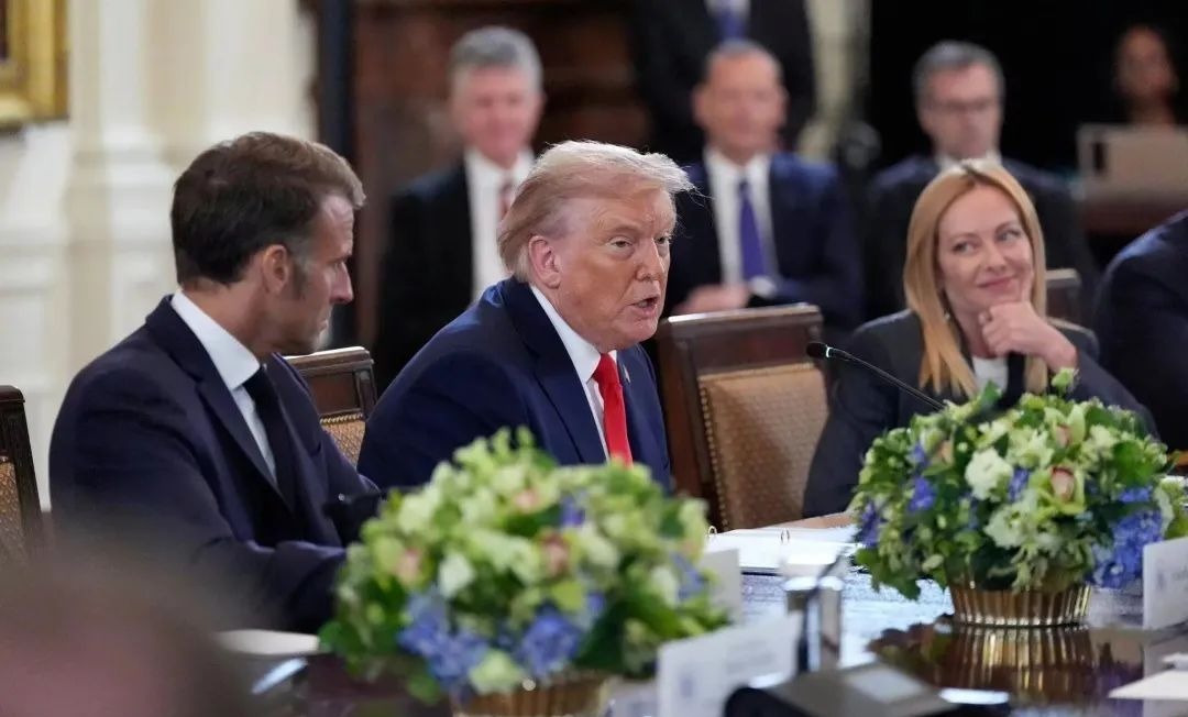 1755569278907098577.jpeg 1755569278907098577.jpeg