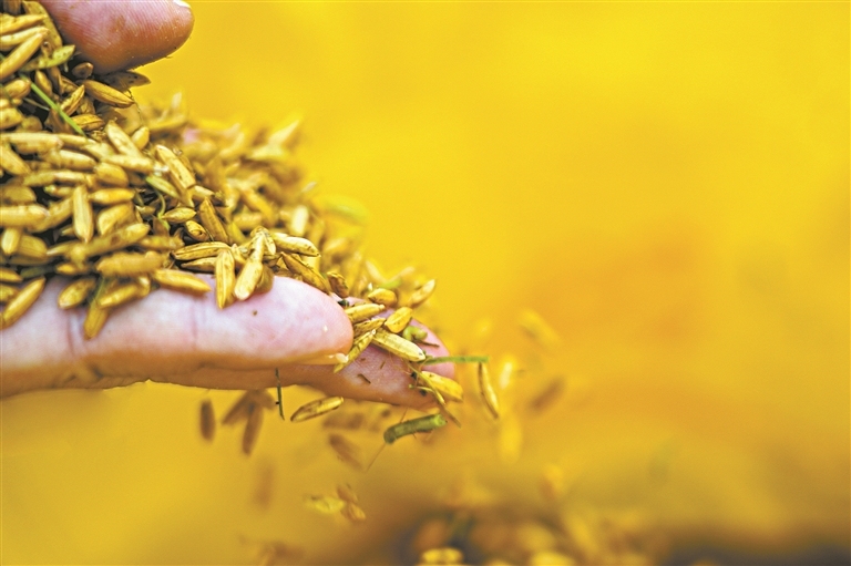 14257326_zhanghl_1755097814269_s