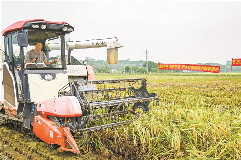 14257328_zhanghl_1755097706999_s