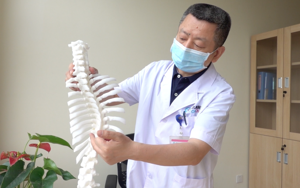 脊柱侧弯模型 新华社