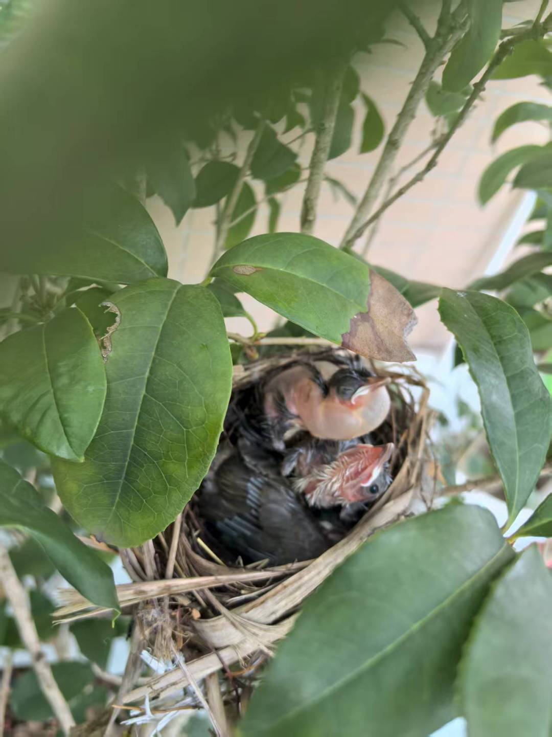 b041c616470a389e8a5045927abbee29.jpg b041c616470a389e8a5045927abbee29.jpg