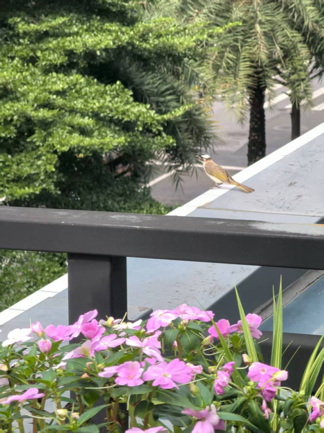 928cc737edffaa392d6e9b3708efed06.jpg 928cc737edffaa392d6e9b3708efed06.jpg