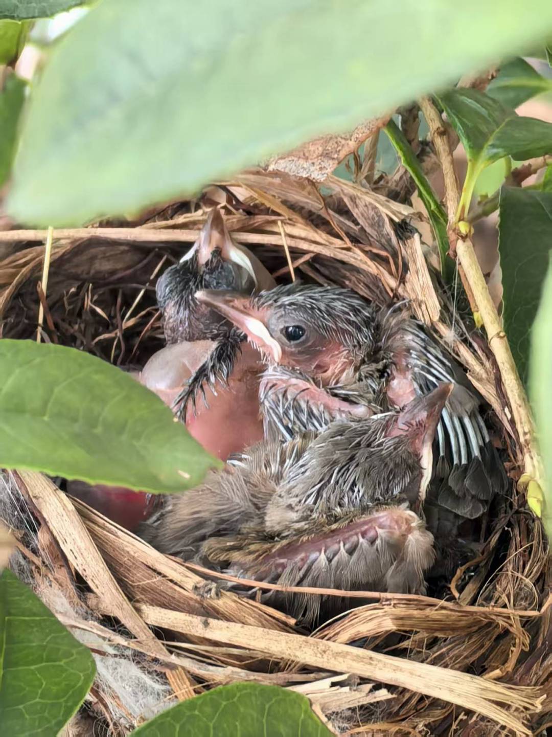 5cc91beb3a4e29085215474c083c47c6.jpg 5cc91beb3a4e29085215474c083c47c6.jpg