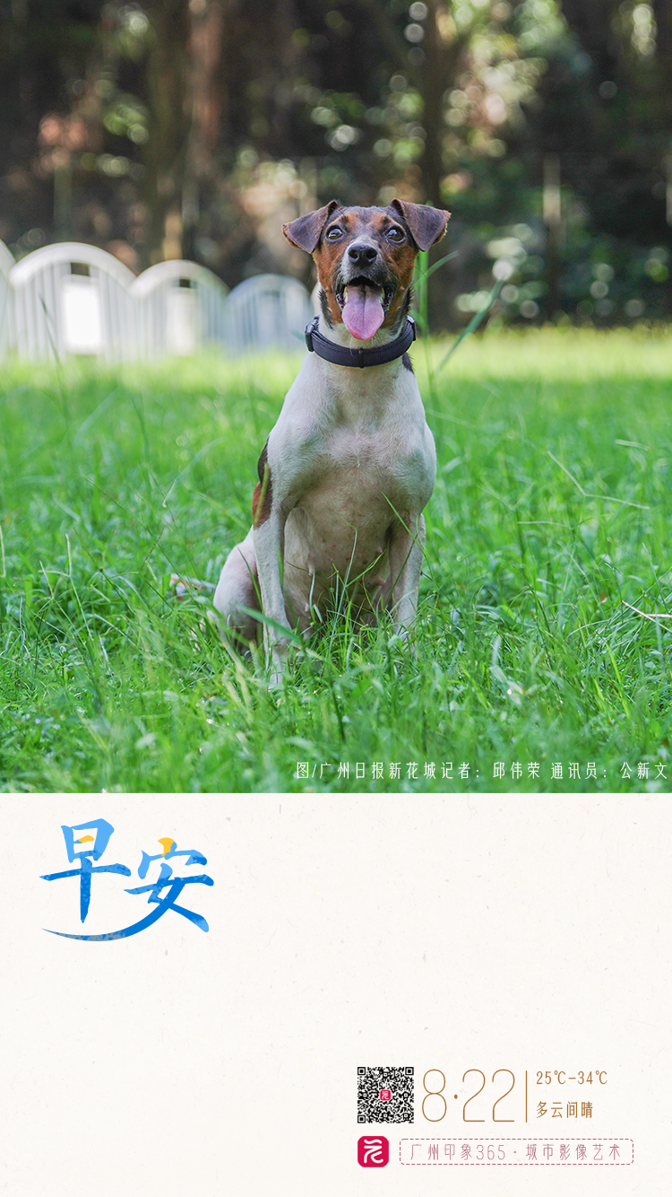 5828c8819365998cda798e29f298fd2.png 5828c8819365998cda798e29f298fd2.png