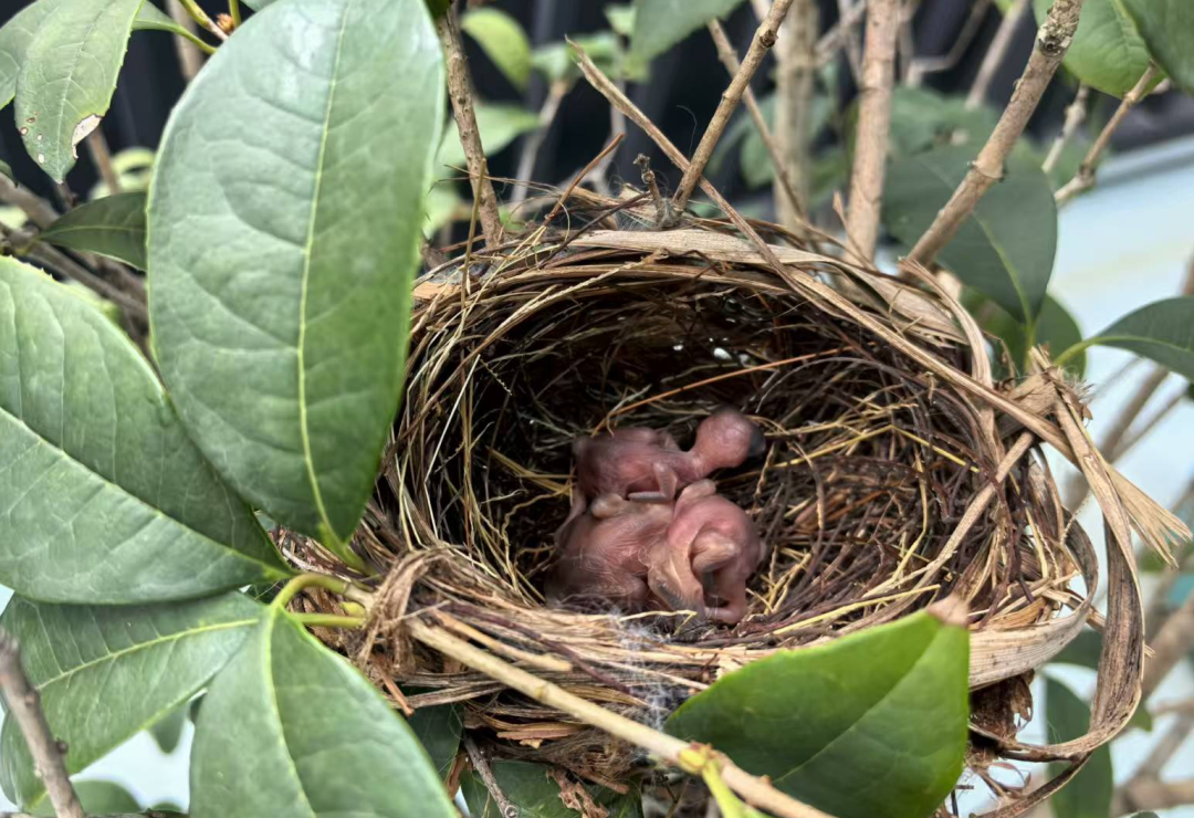 3e0a0f8c1c0834797b349d7a8a08e6ec.jpg 3e0a0f8c1c0834797b349d7a8a08e6ec.jpg