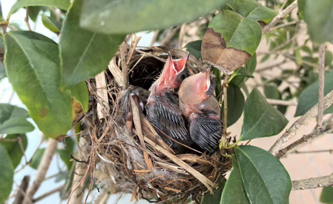 1ff69221cd172fddf2943a39ccab61e7.jpg 1ff69221cd172fddf2943a39ccab61e7.jpg