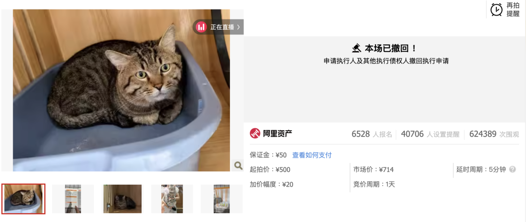 猫撤下法拍