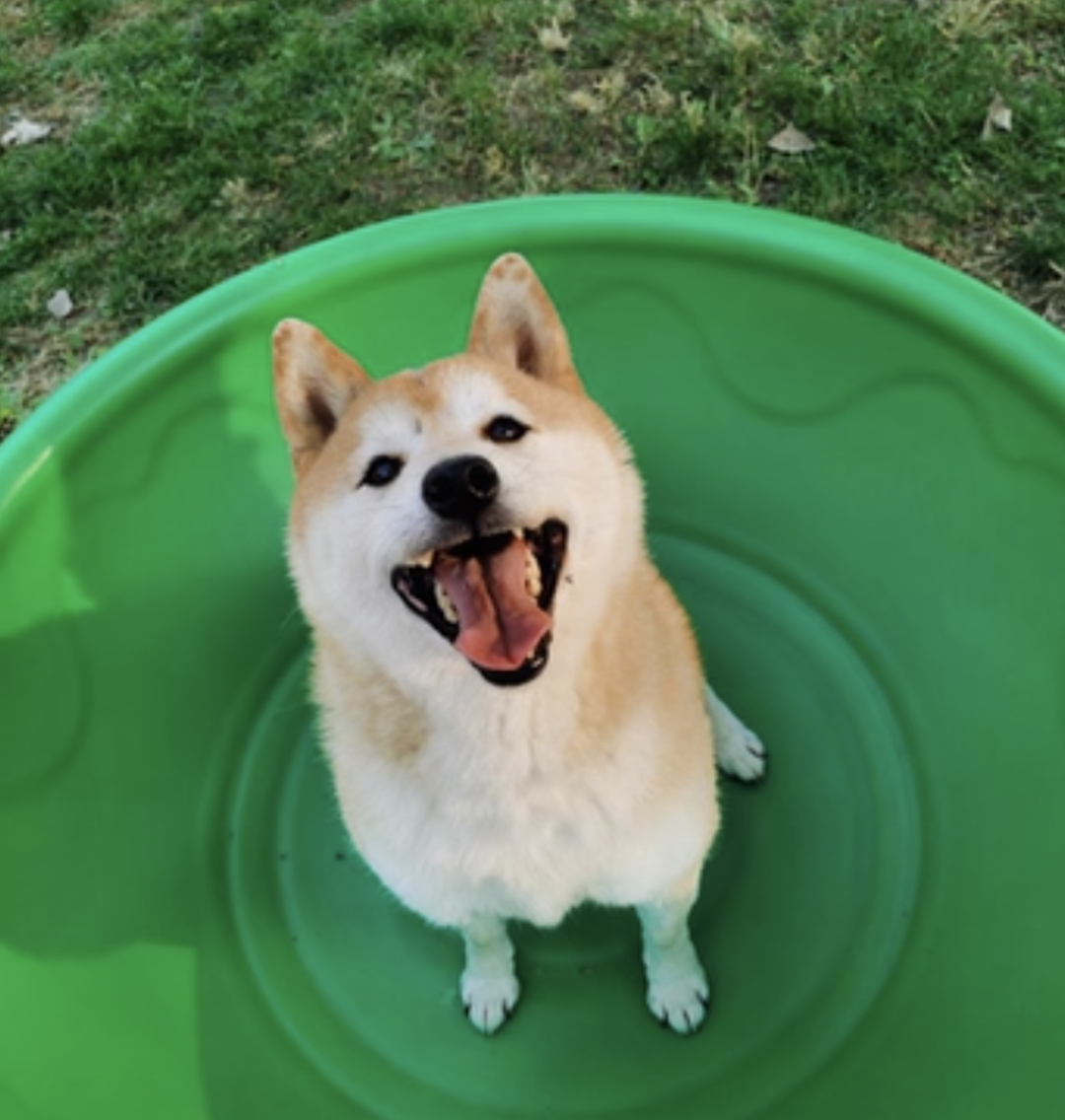 截屏2025-08-24 15.04.48