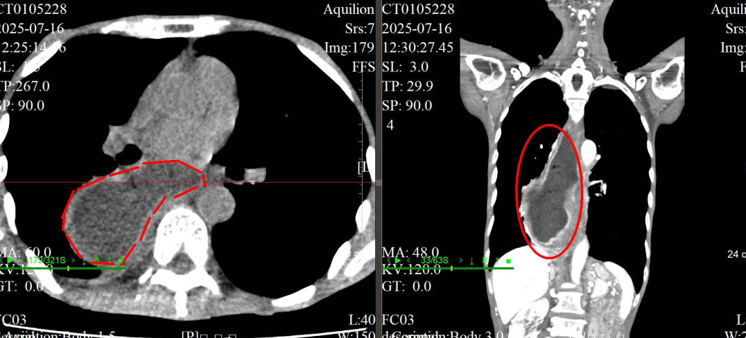微信图片_20250826115317_194