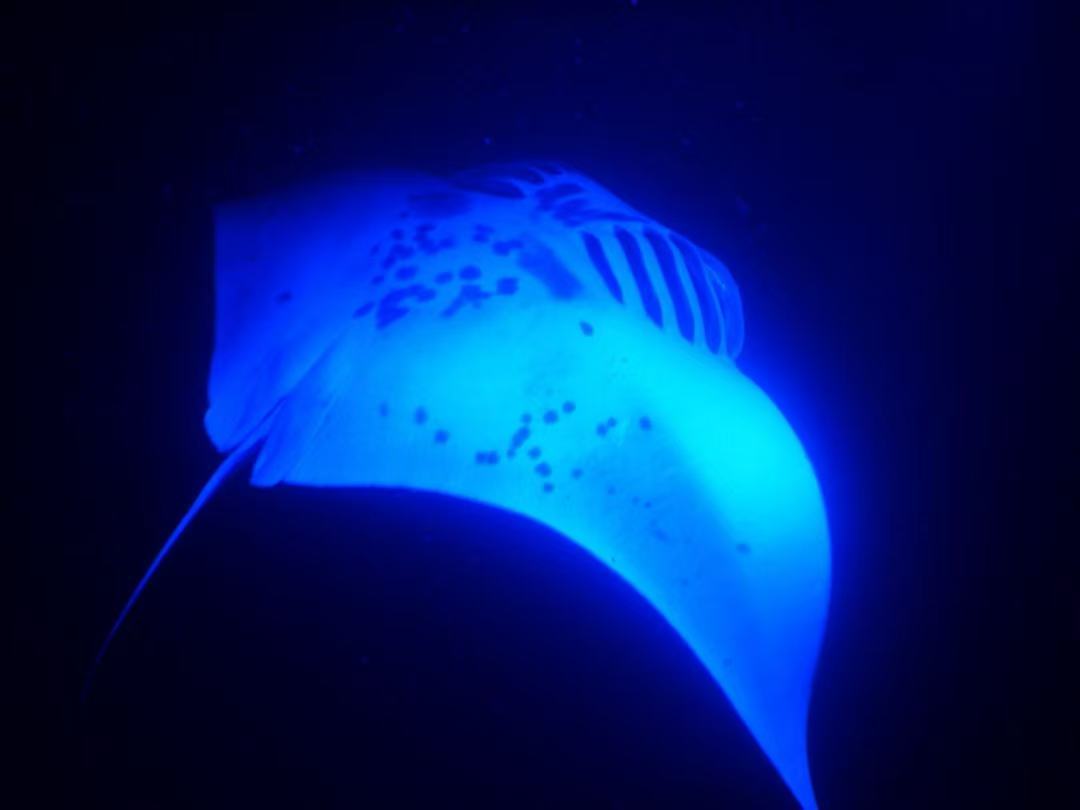 b395a87ec1c31c9b716bb33ba1c3d10.jpg b395a87ec1c31c9b716bb33ba1c3d10.jpg