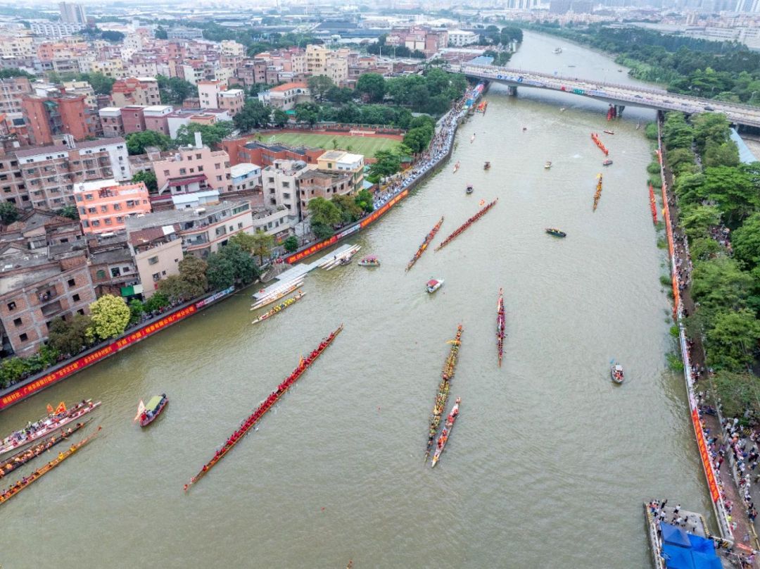 2025年荔湾区龙舟邀请赛暨第60届龙溪沙溪龙船景 (2)