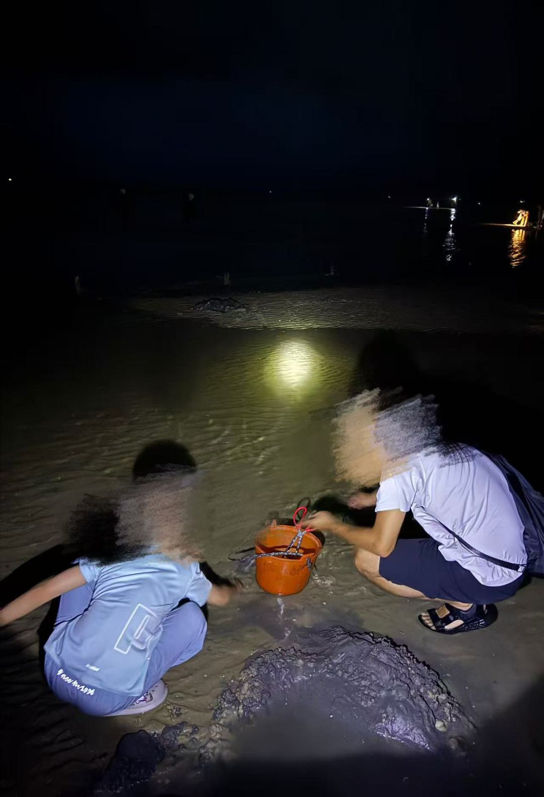 彭月霖一家摸黑赶海,当时附近也有不少人