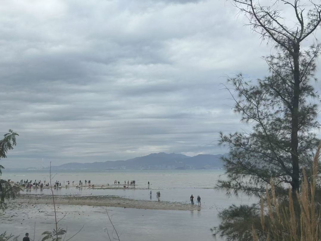赶海成为很多人来海边必打卡的项目
