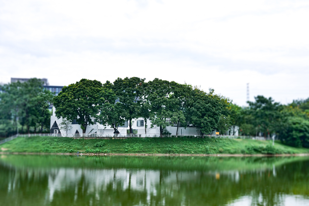 b6dca8cc0c58442f42e05746ed10b423.jpg b6dca8cc0c58442f42e05746ed10b423.jpg