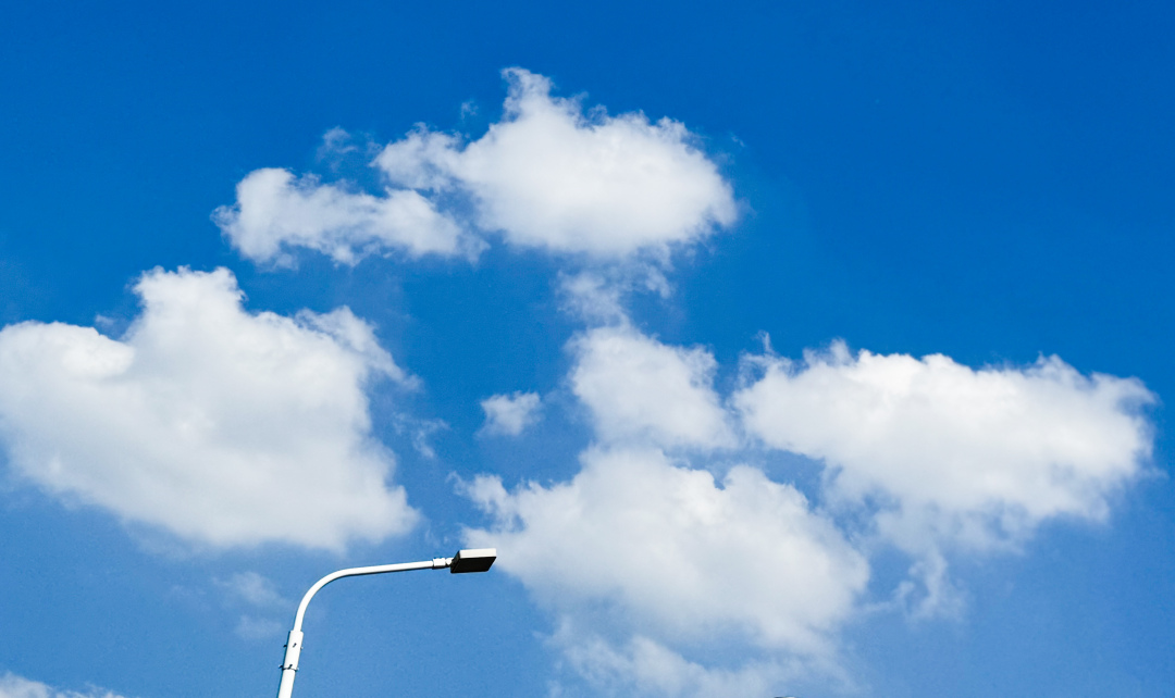 庄小龙20250421高温晴好 (6)