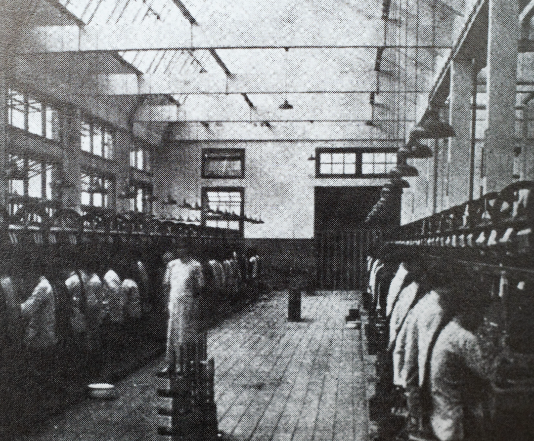 省营纺织厂旧影1