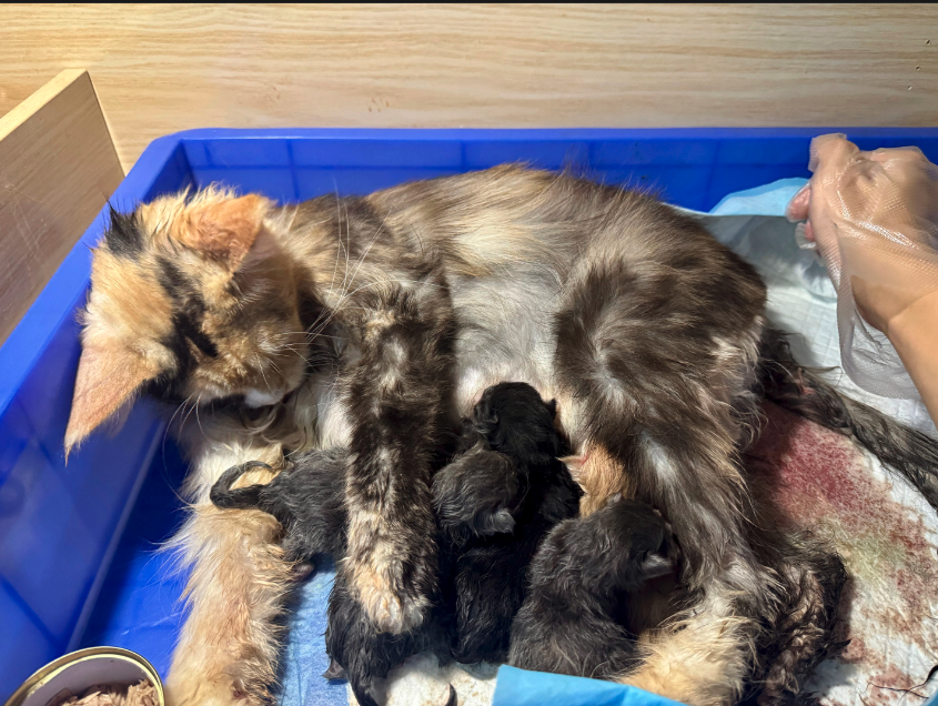 截屏2025-09-04 21.12.54.png