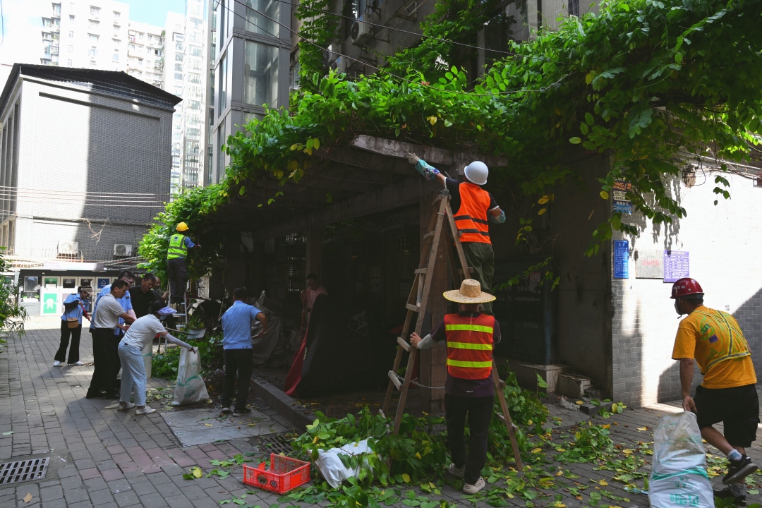 912d658ea33f82f4f92df8766ba0001.jpg 912d658ea33f82f4f92df8766ba0001.jpg