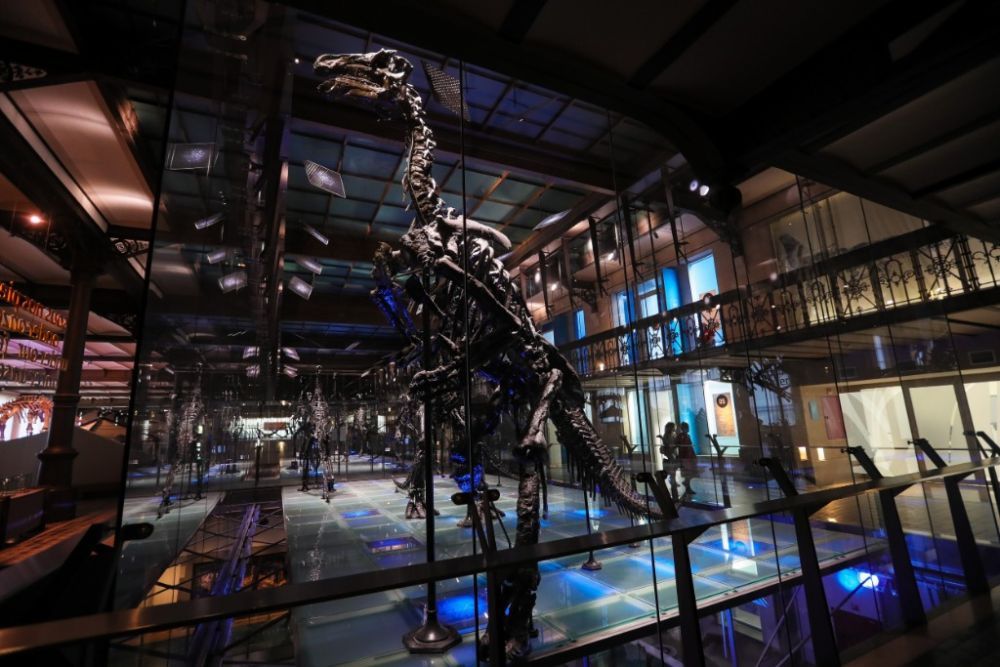 比利时布鲁塞尔的比利时皇家自然科学博物馆,人们经过禽龙骨骼展区