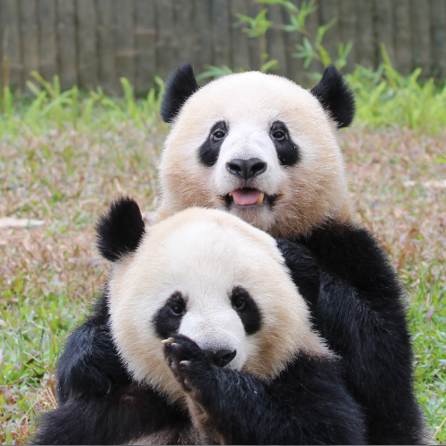 0ff7e2e1b861302a8fbe6eca153d682.png 0ff7e2e1b861302a8fbe6eca153d682.png