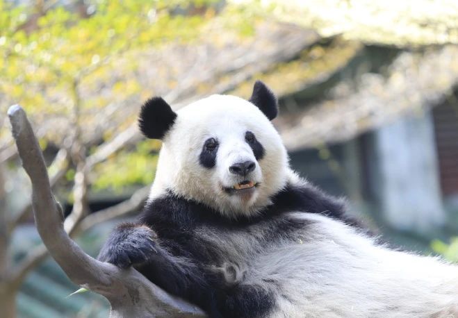 1cc2c2d1d06137b3dca7055e1f4b425.jpg 1cc2c2d1d06137b3dca7055e1f4b425.jpg