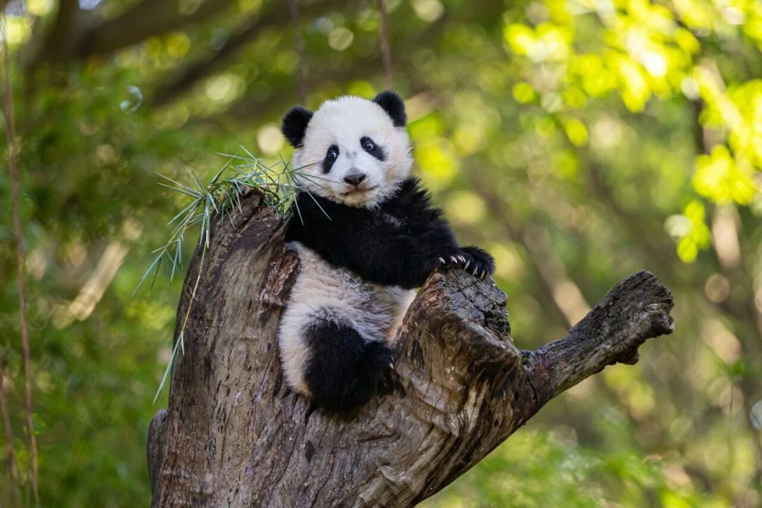 d9ab29e13b171503e4c40a989e04aa8.jpg d9ab29e13b171503e4c40a989e04aa8.jpg