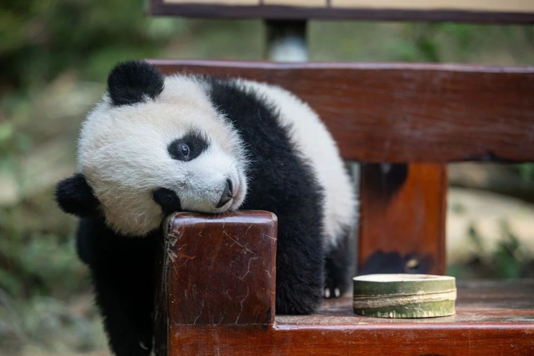 60eefdf5605026ffae06aeee512bed7.jpg 60eefdf5605026ffae06aeee512bed7.jpg