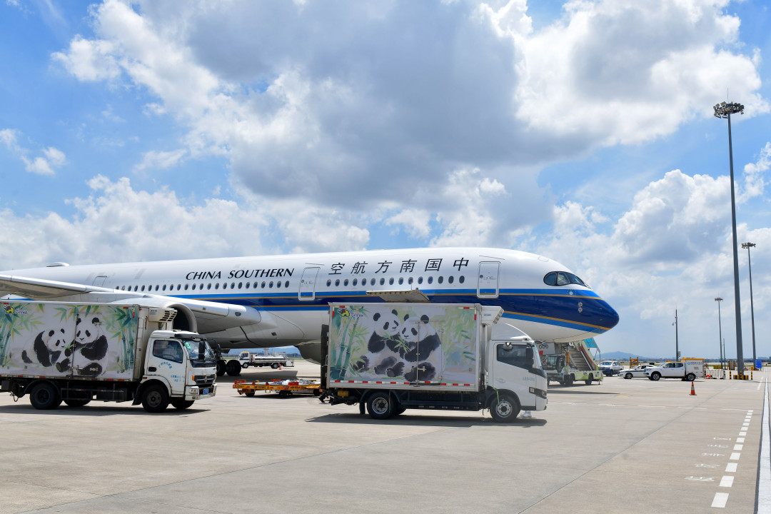 杨耀烨-YYY_0384-FZ100414407924